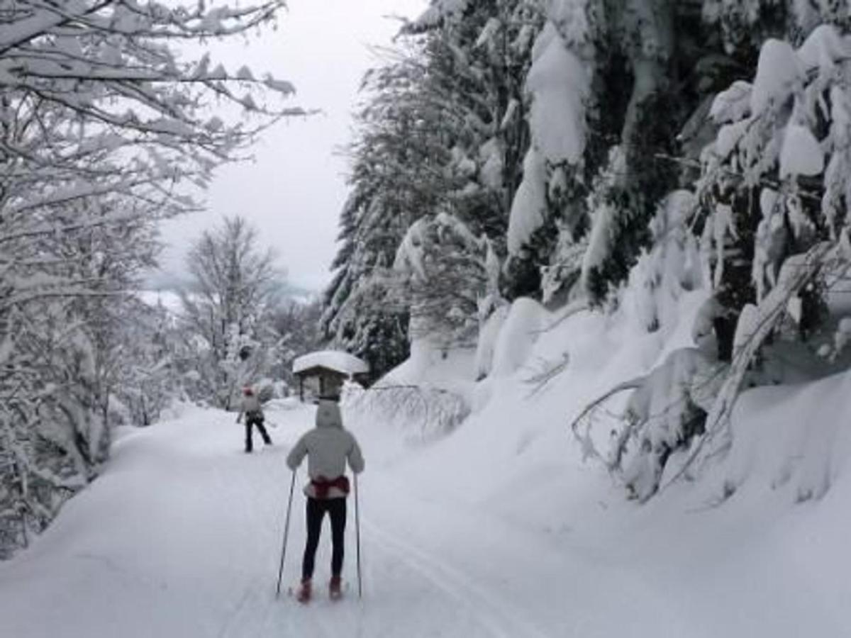 Gite Chaleureux A La Bresse Avec Terrasse, Barbecue Et Proche Des Pistes De Ski - Fr-1-589-189 Экстерьер фото