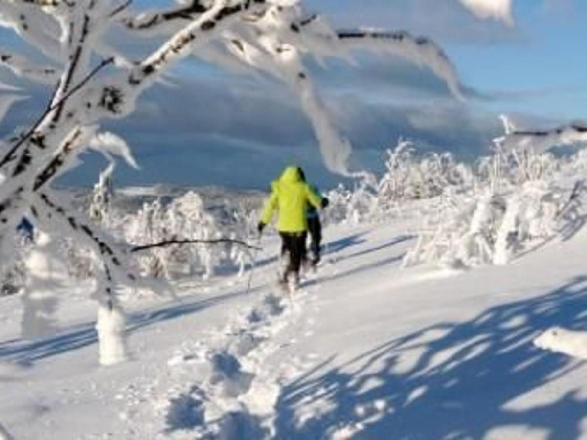 Gite Chaleureux A La Bresse Avec Terrasse, Barbecue Et Proche Des Pistes De Ski - Fr-1-589-189 Экстерьер фото