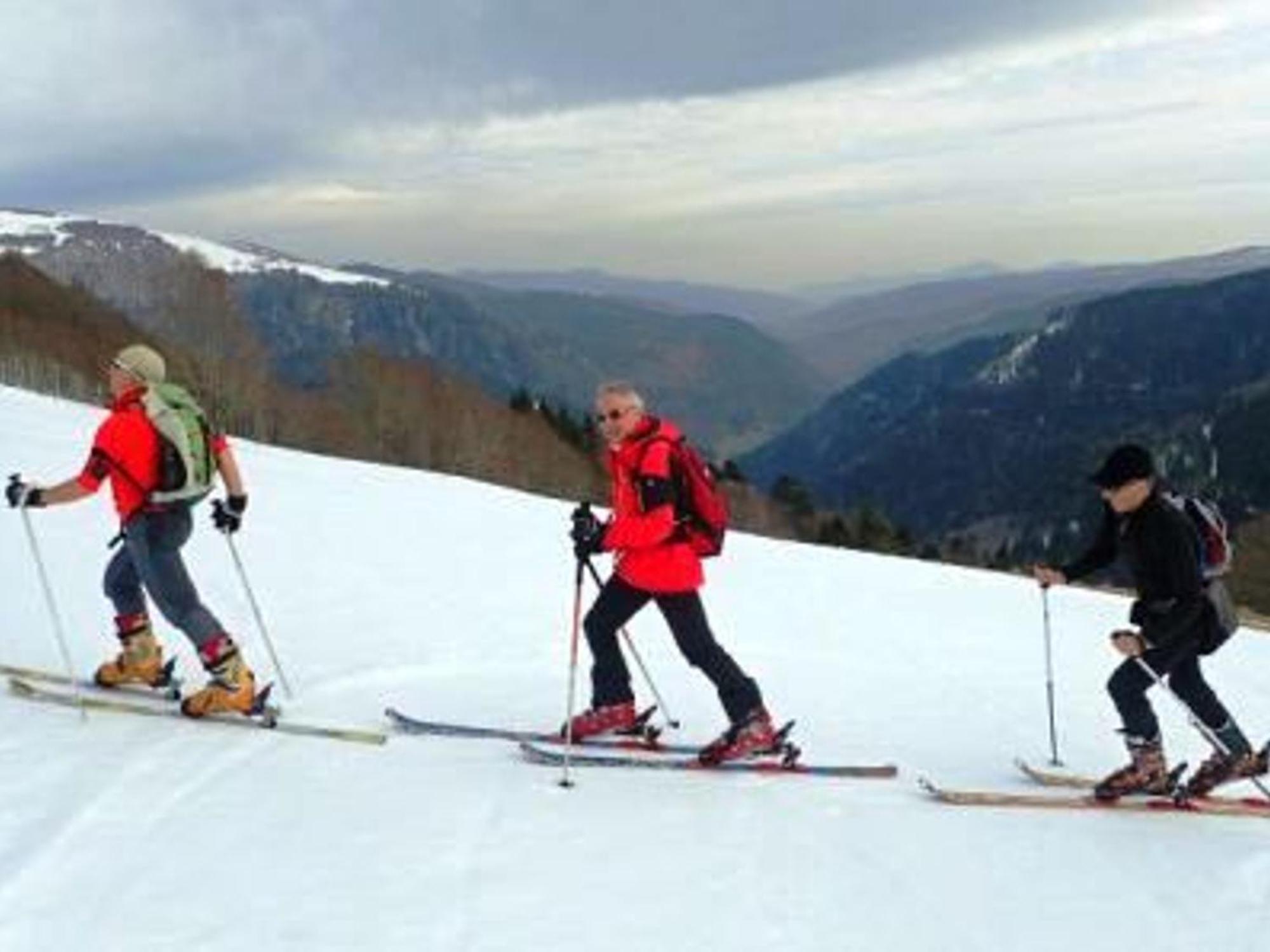 Gite Chaleureux A La Bresse Avec Terrasse, Barbecue Et Proche Des Pistes De Ski - Fr-1-589-189 Экстерьер фото